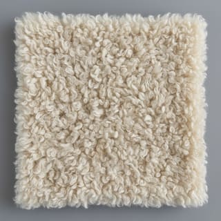 Plush wool overlay texture